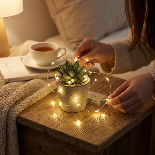 Button Battery Fairy Lights in use