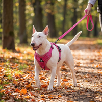Dog Harness in use